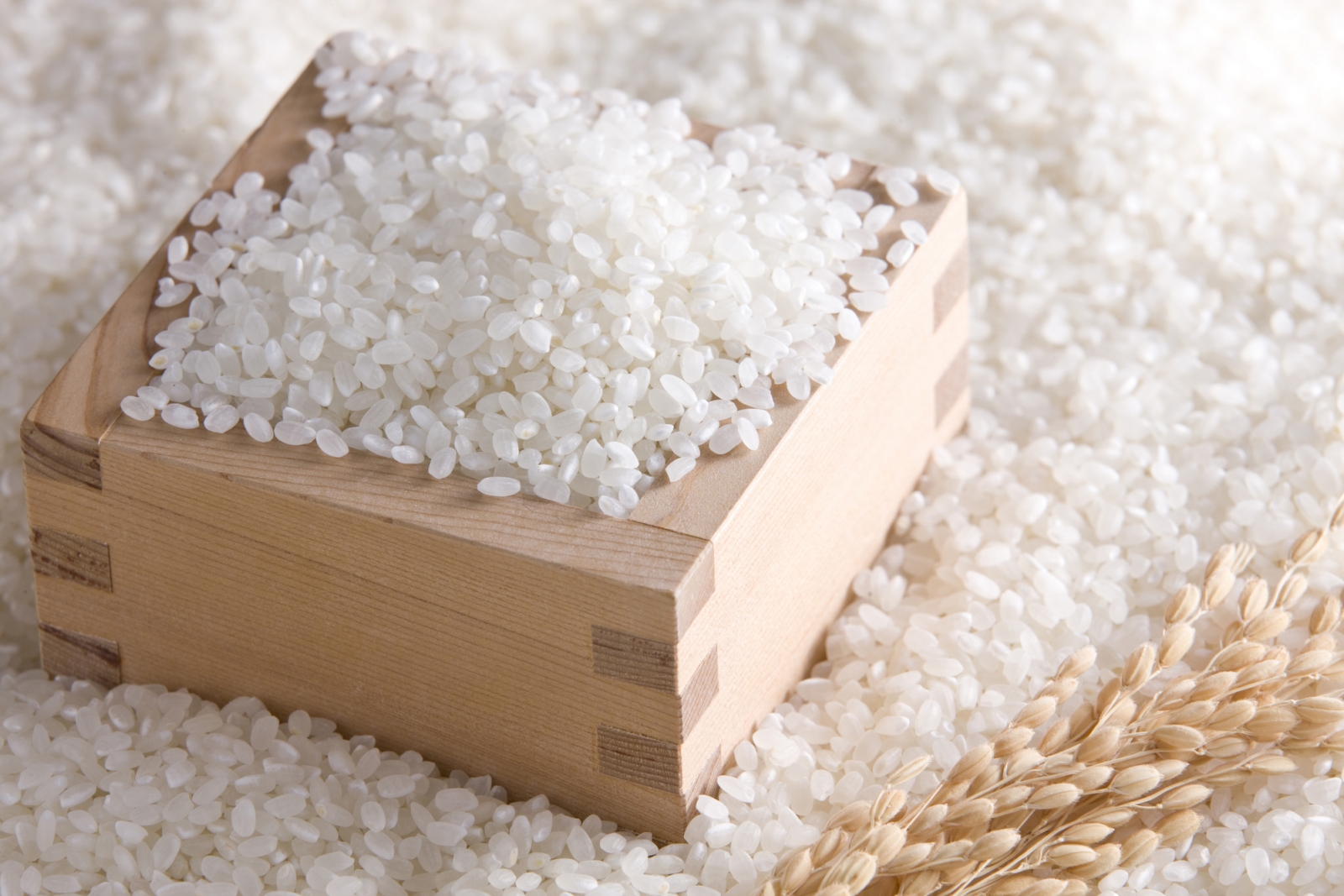rượu sake - tinh hoa của người nhật